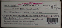 Image Associated With the Occurence